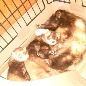 Meet your Posher, Erin